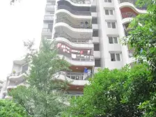 绿岛老洋房,一体两户,小区公园里