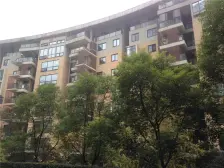 春森彼岸5期大跃层 看解放碑夜景