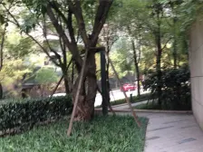 北滨路 看中庭看江 两房两卫 户型方正 位置安静