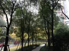 北滨路龙湖品质三房 看江视野好 近地铁 随时可看房