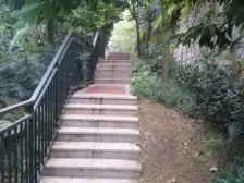 绿地翠谷四房,户型方正通透,视野开阔无遮挡