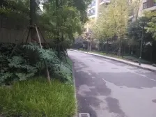北滨路次新房看江霸道无遮挡 双轻轨出行龙湖品质保障