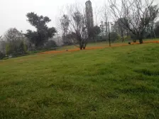 照母山 协信星都会(高层)二房77万