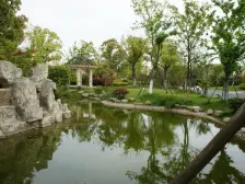 招商海廷(四期) 5室2厅 南