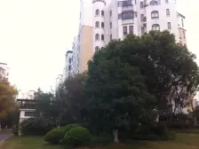 精装修拎包入住,地铁口顶楼复式