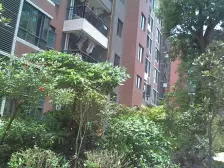 金沙花园两房,朝南视野开阔无遮挡,采光好价格好谈