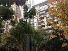 龙湖春森彼岸五期 3室1厅 南