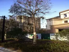 铜锣湾广场旁复式楼 业主自住 诚心出售 看房找饶玉松