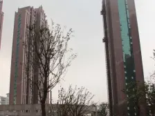 普陀区中环边地铁口 人车分流 干挂石材大平层