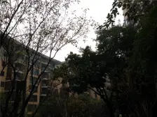 龙湖春森彼岸五期 2室1厅 西