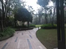 梦中情房 龙湖品质 正规大一室一厅 东南朝向 可看江