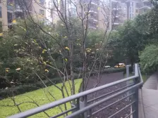 此房朝南采光好,朝向好,正看嘉陵江,楼层适中精装修