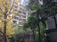 北滨路龙湖品质 坐北朝南 看江看中庭 视野好 诚心卖