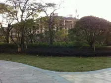 采光好,全天太阳,得房率高,视野开阔