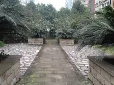 大渡口公园优质轻轨大两房,看房方便