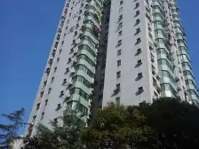 精装修 双南户型 楼层适中 采光充足 诚意出售