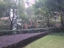 龙湖品质 正规大一室一厅,看来福士洪崖洞渝中半岛