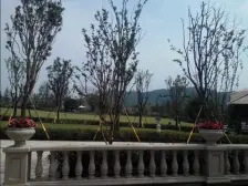 西区 融创嘉德领馆三房133万