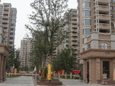 毛坯清水房 买来从没租过 中间景观位置 有车位 位置好