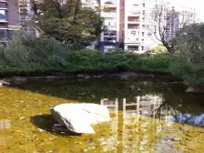 捡漏!捡漏!品质好房推荐,精装好房,小区性价比一套