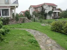 新上中房森林临河独栋,送500万精装修,占地1200平,诚售
