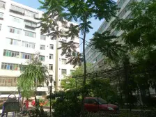 广场 皋兰路 电梯房 三室两厅 南北通透 停车方便