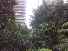 树人 满足二胎 安心卖 可大刀