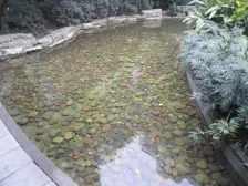 骏逸新视界 2室1厅 南