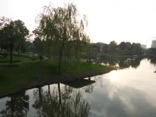 泗泾·佘山东郡·5室·30厅