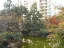 水悦城 清江山水精装大四房满五唯一 南苑畔山林语旁