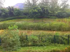 别墅,有花园,有装修,安静,没个税,可看可签