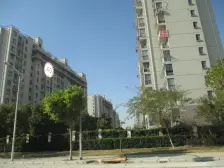 大虹桥近地铁电梯两房业主诚心