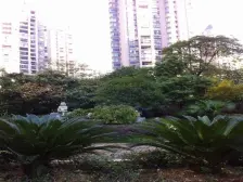 装修5年 全屋装了风管机 拎包入住 中高楼层