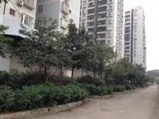 石马河 盛景山水景园三房111万