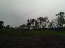 回兴 复地花屿城C区三房245万