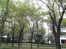 精装洋房,楼层好,户型好,近重庆东站,大开间采光好