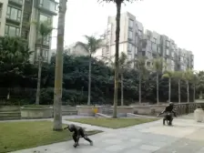 蓝岸A区 3室2厅 南