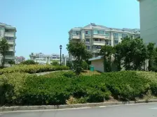 张江南,南北通户型,大阁楼,位置好