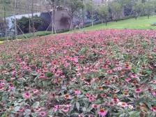 回兴 复地花屿城C区五房296.6万