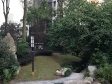 金科品质板式小高层4+1 采光好 视野佳 可拎包入住