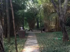 金科天湖美镇 5室2厅 东南