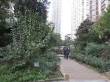 大石坝 东海岸一房46.3万