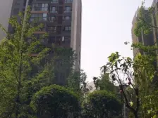 中铁塔米亚 3室2厅 东南 东 南 西南