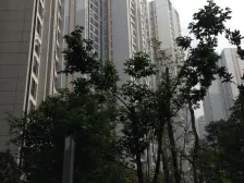 北城国际中心 3室2厅 南 北