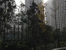 加州新牌坊 北城国际中心二房