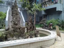 环线海峡路旁住家三房户型方正出行方便