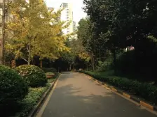 人和 金科天湖美镇三房128万