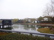 (临河景观位置)( 钱急抛)(集中南花园800平)