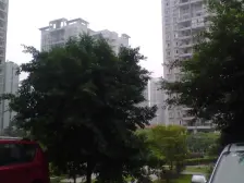 成熟社区配套完善生活方便,本小区入住率在80%以上