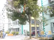 电梯房 双南户型好 位置好 D铁口 户型正美丽家园 车位足